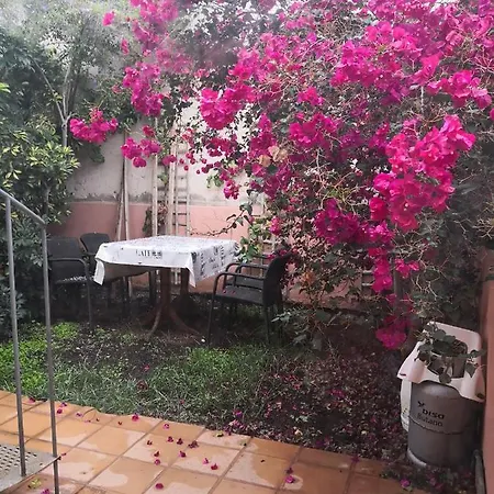 La Flora Lägenhet San Miguel de Abona